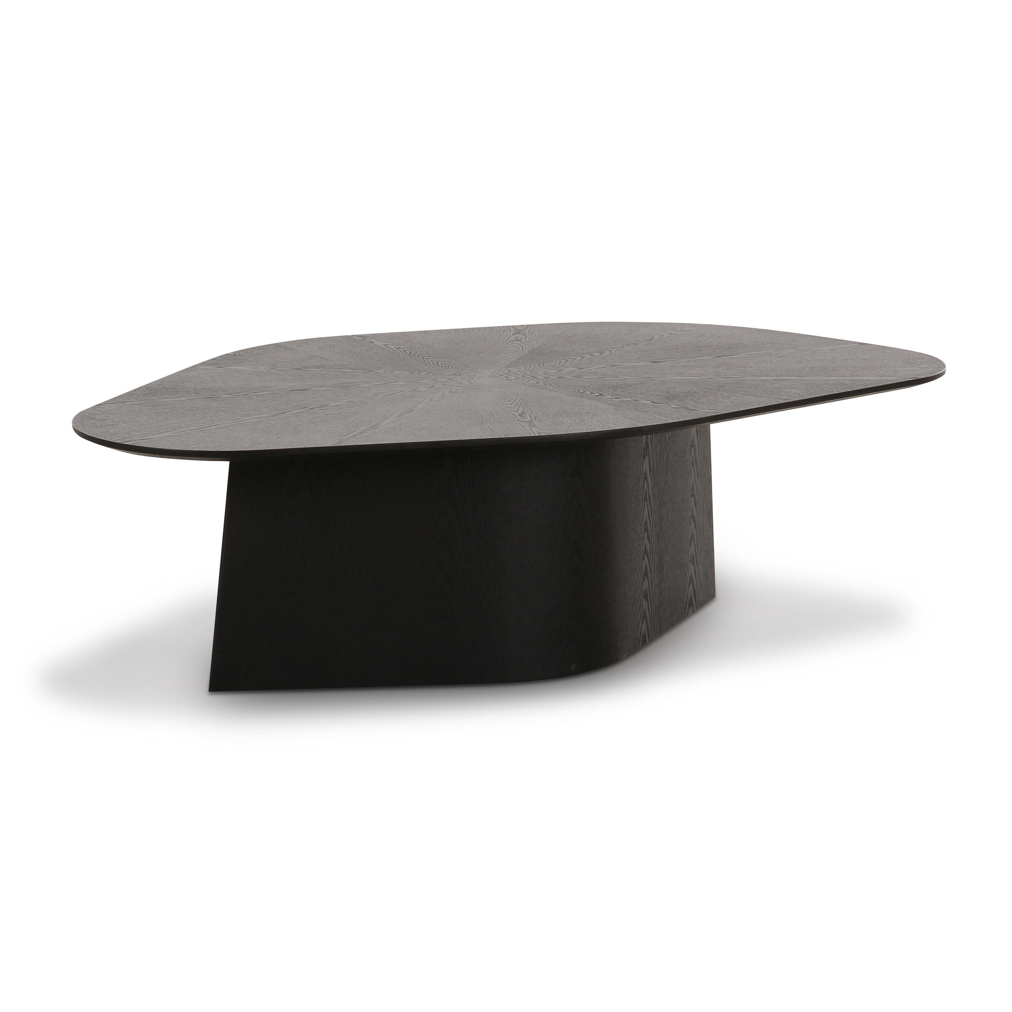Roche Ash Geometric Coffee Table – TOV Furniture