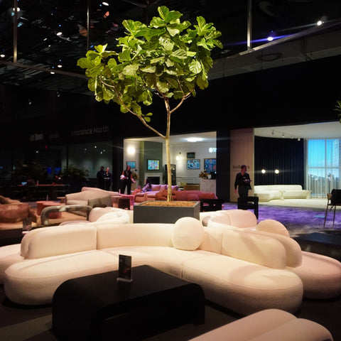 TOV x Art Basel - Shop The Room - Image