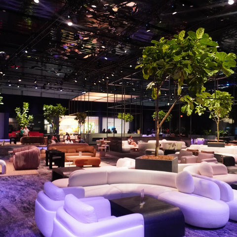 TOV x Art Basel - Shop The Room - Image