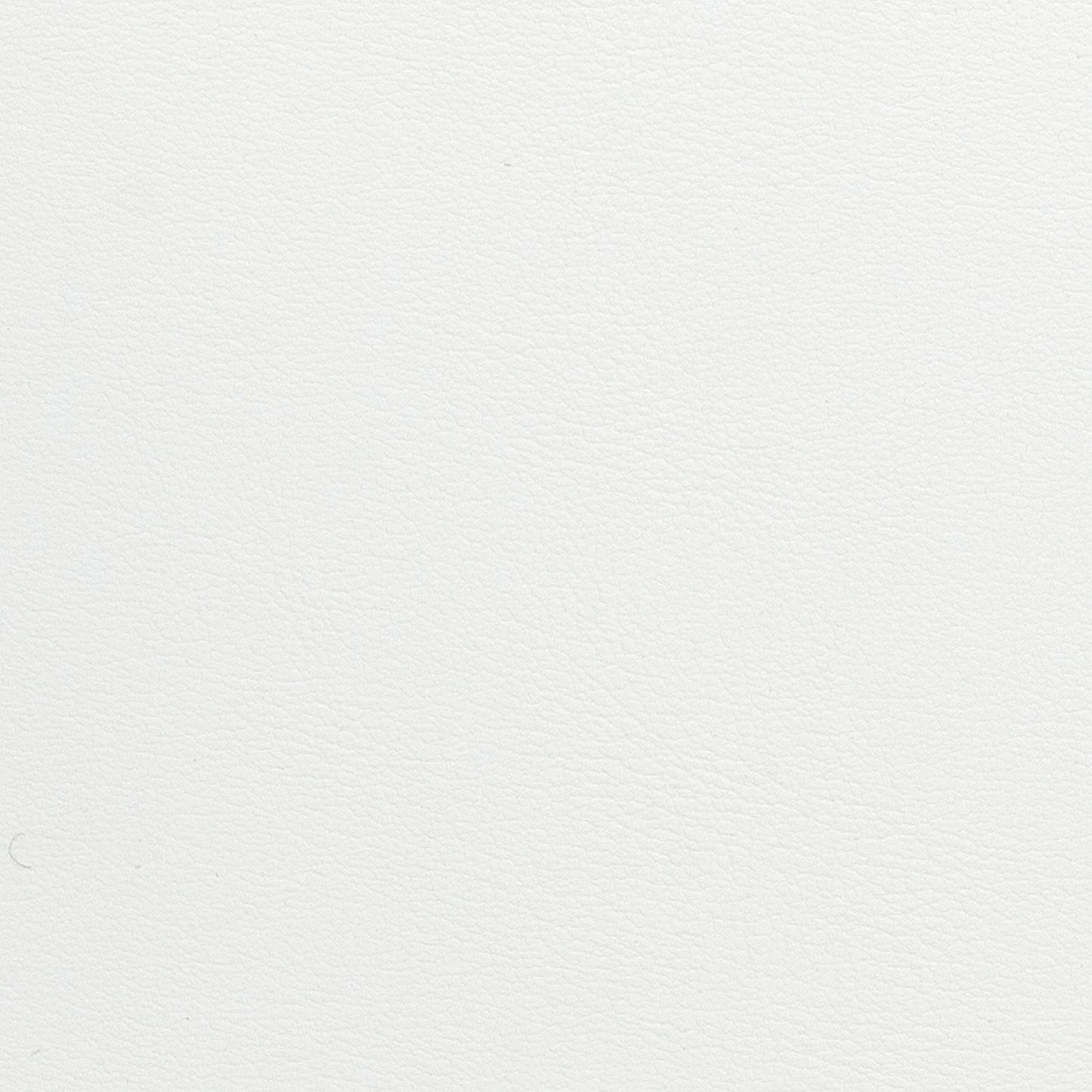 Fabric Sample - Image 1