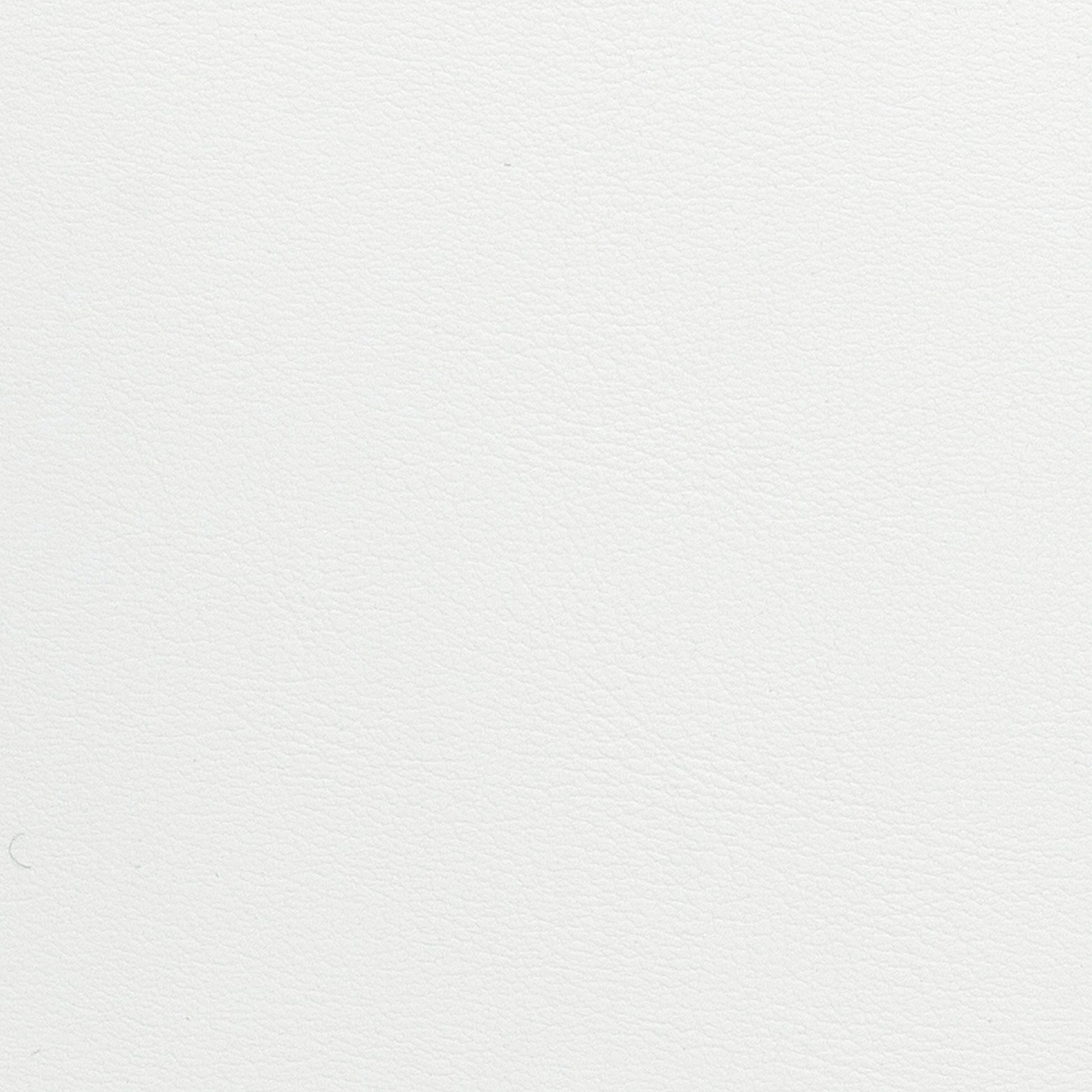 Fabric Sample - Image 1