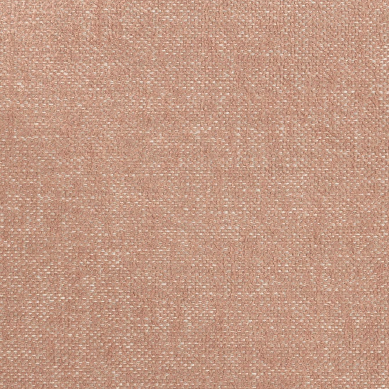 Fabric Sample - Image 1