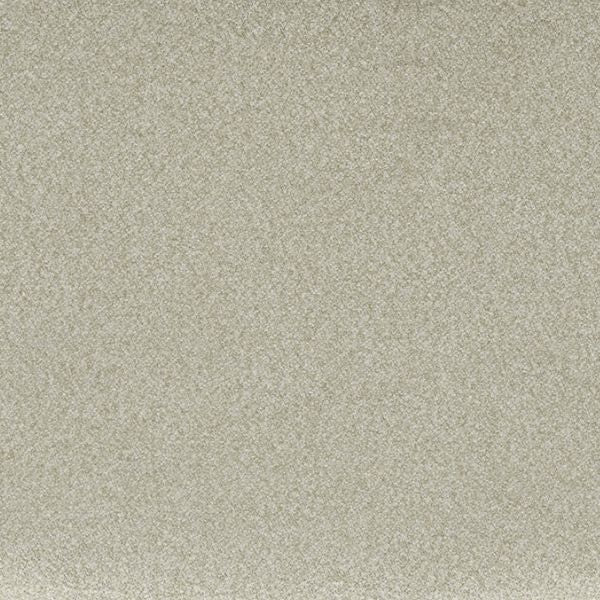 Fabric Sample - Image 1