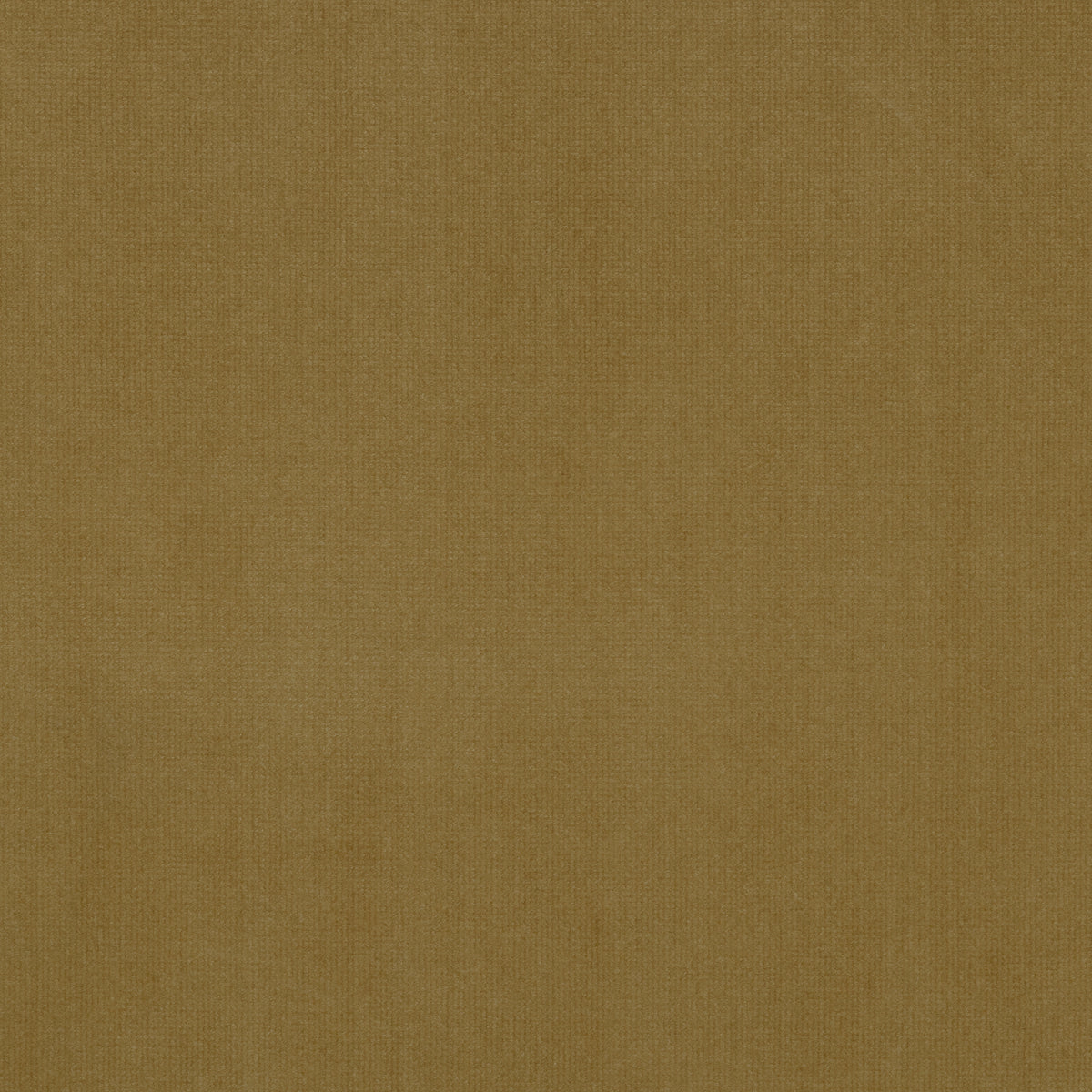 Fabric Sample - Image 1