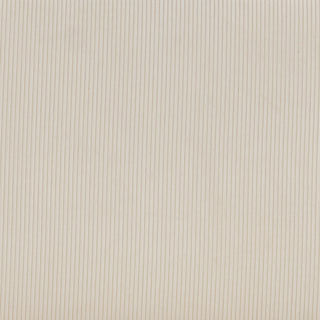 Corduroy