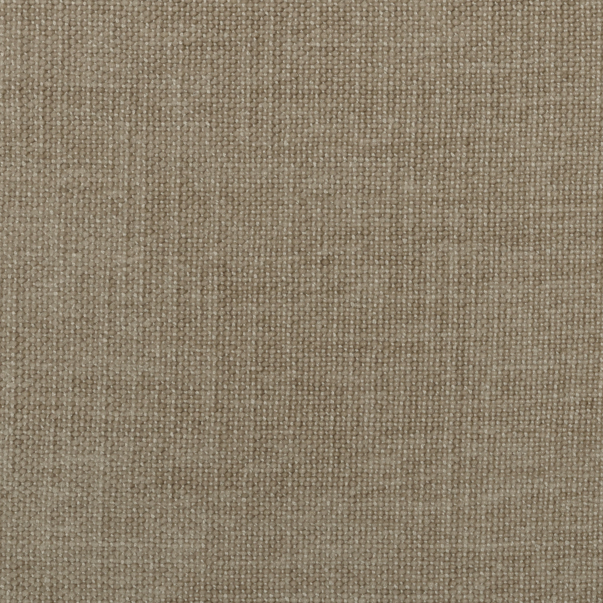 Fabric Sample - Image 1