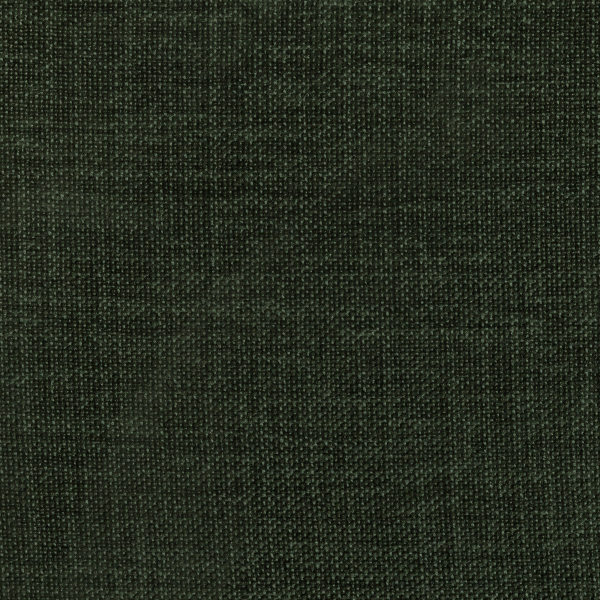 Fabric Sample - Image 1