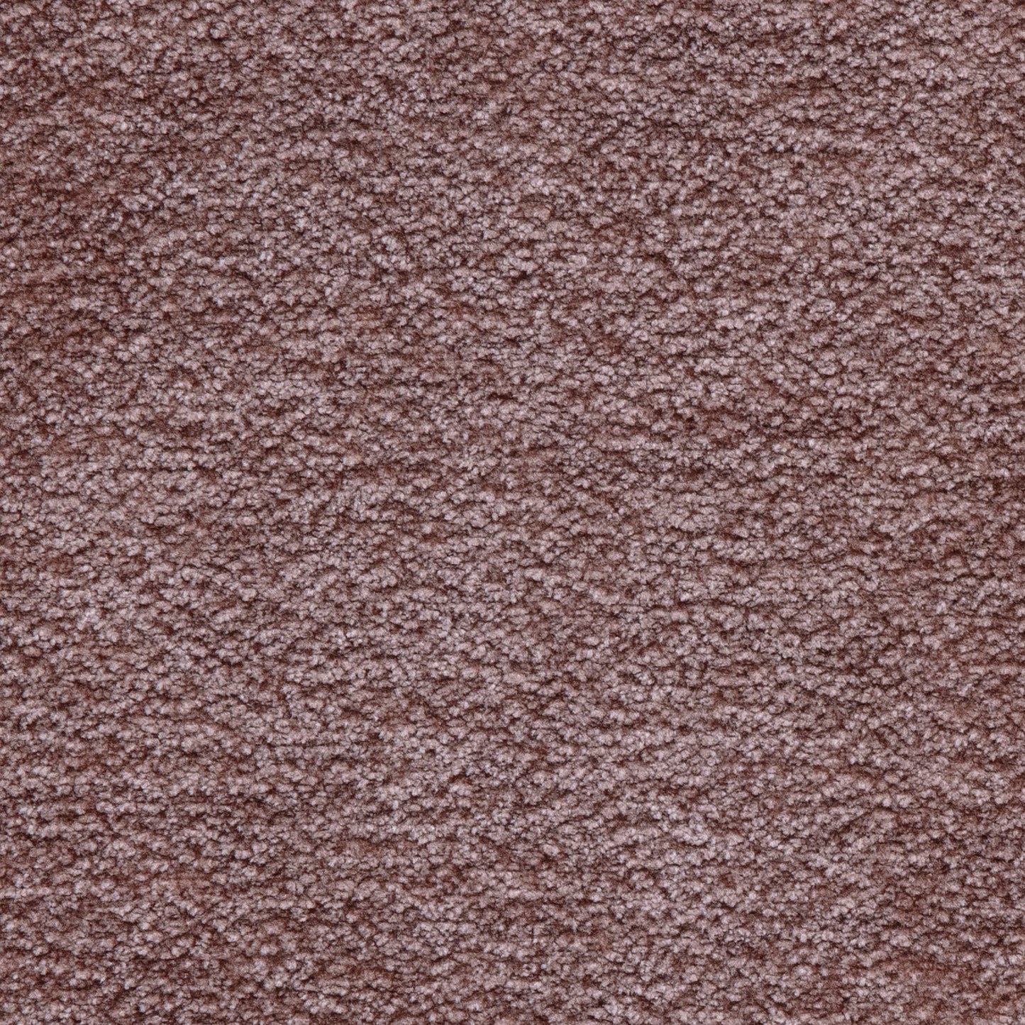 Fabric Sample - Image 1