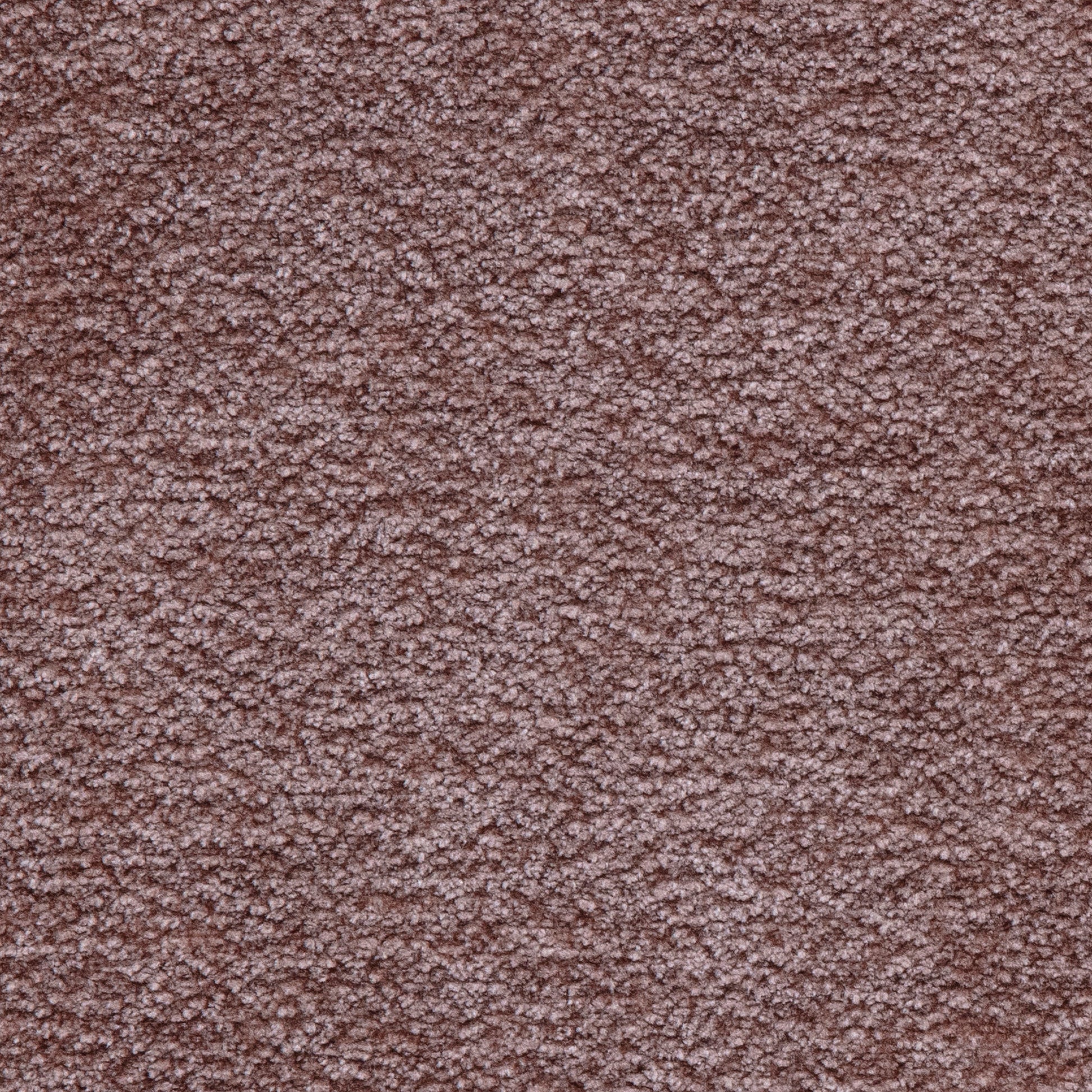 Fabric Sample - Image 1
