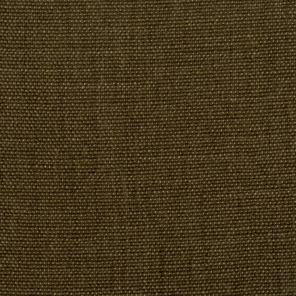 Fabric Sample - Image 1