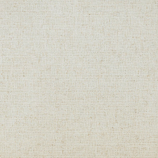 Heavy Textured Fabric