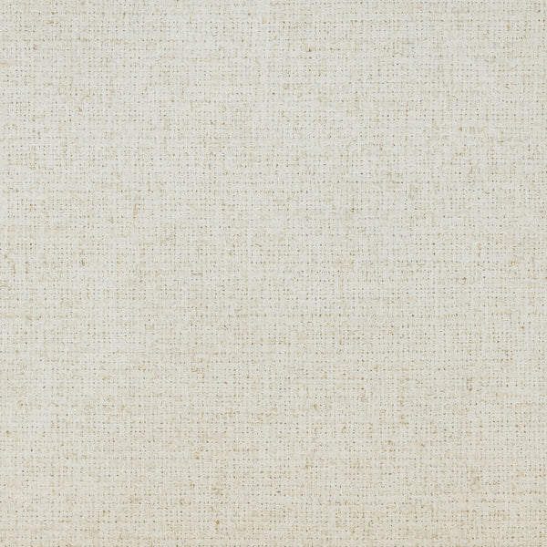 Heavy Textured Fabric