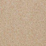Fabric Sample