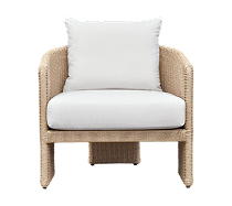 Alexa Rattan Performance Fabric Outdoor Armchair