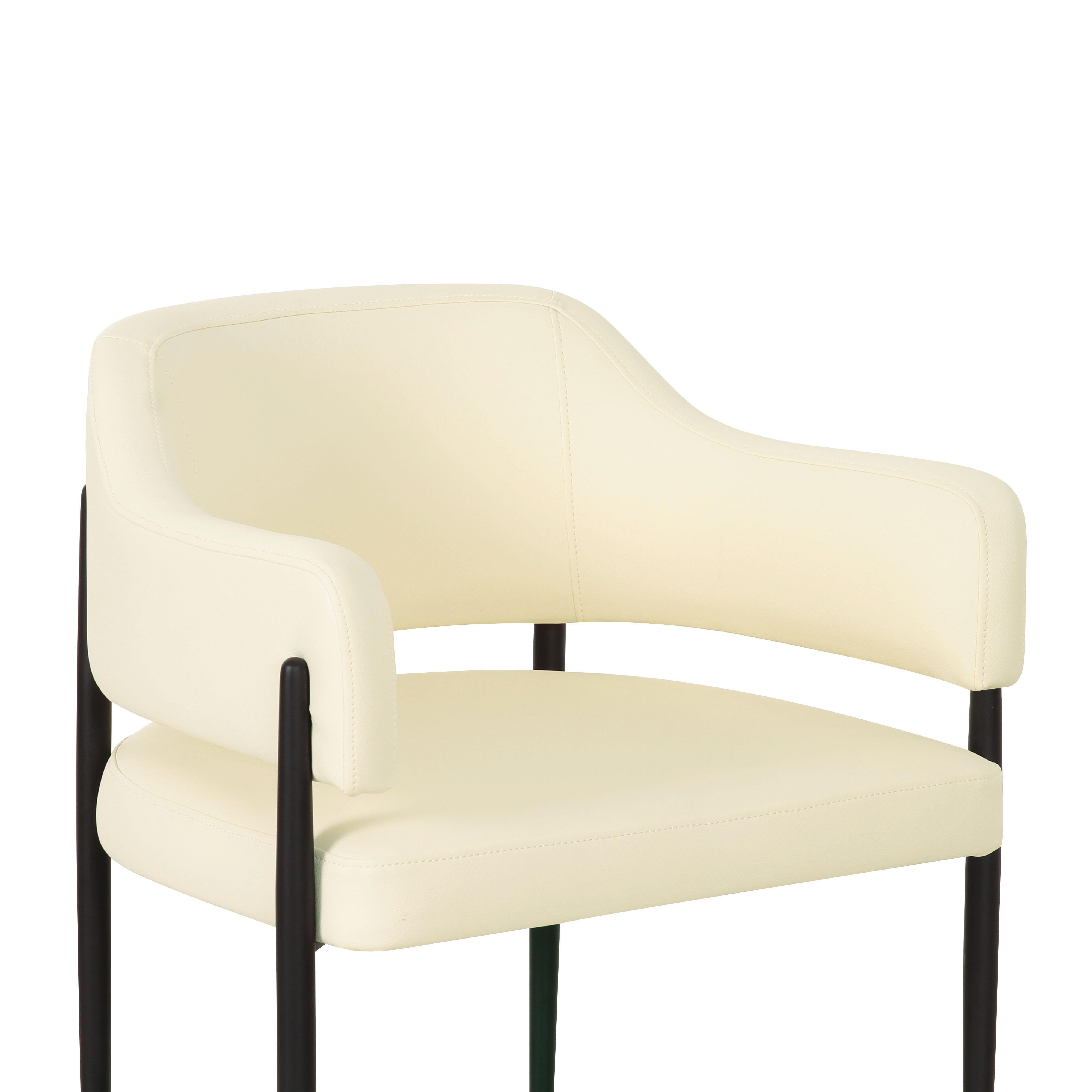 ダイニングチェア スプレイ DINING CHAIR SPRAY② Sezanne Vegan Leather Dining Chair – TOV Furniture