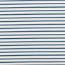 Blue Stripes