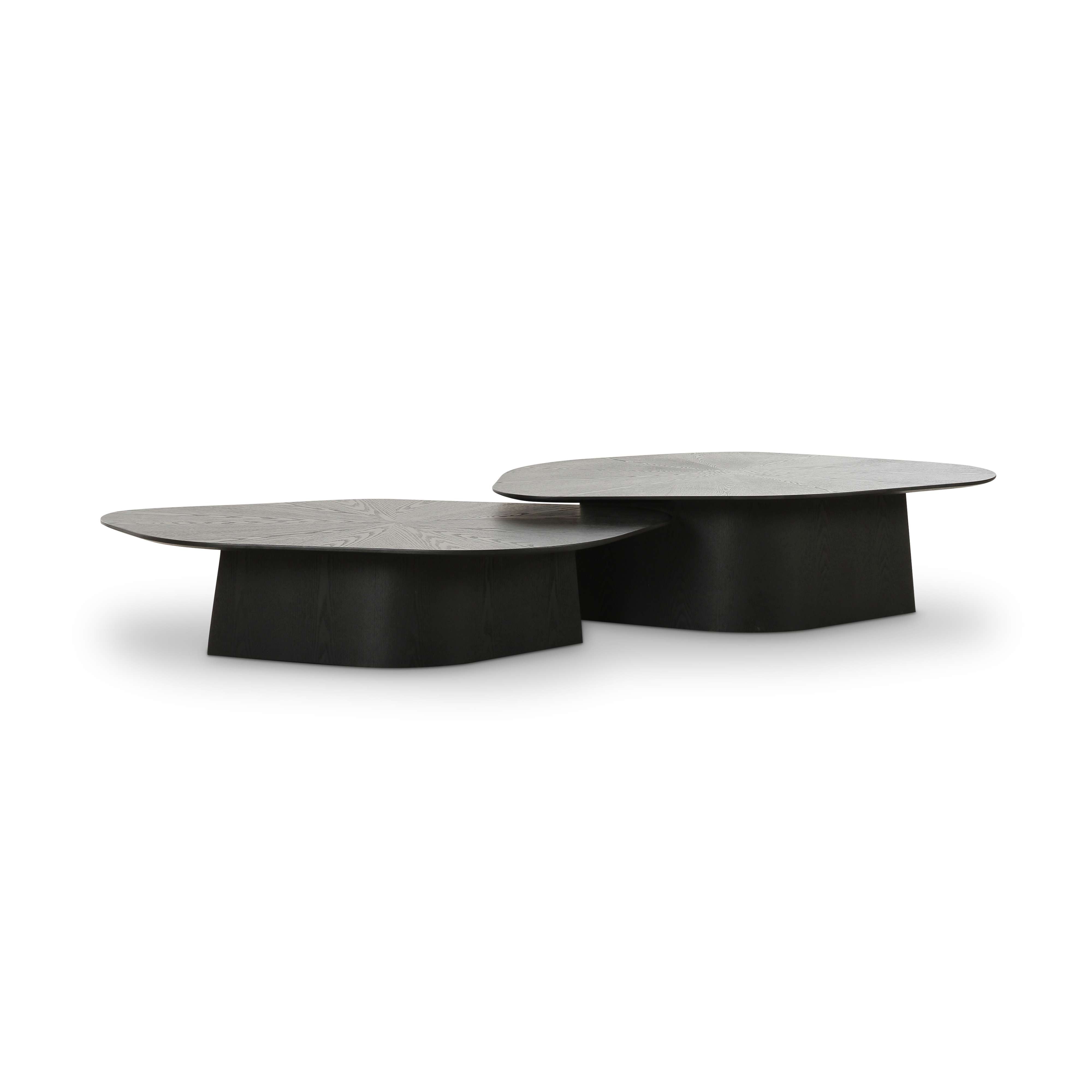 Roche 2-Piece Ash Nesting Coffee Table Set | TOV Furniture