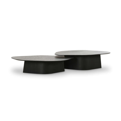 Roche 2-Piece Ash Nesting Coffee Table Set - Black - Image 1