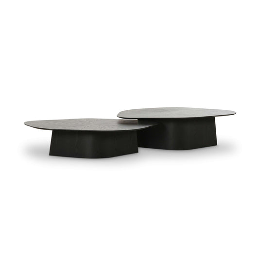 Roche 2-Piece Ash Nesting Coffee Table Set - Image 1