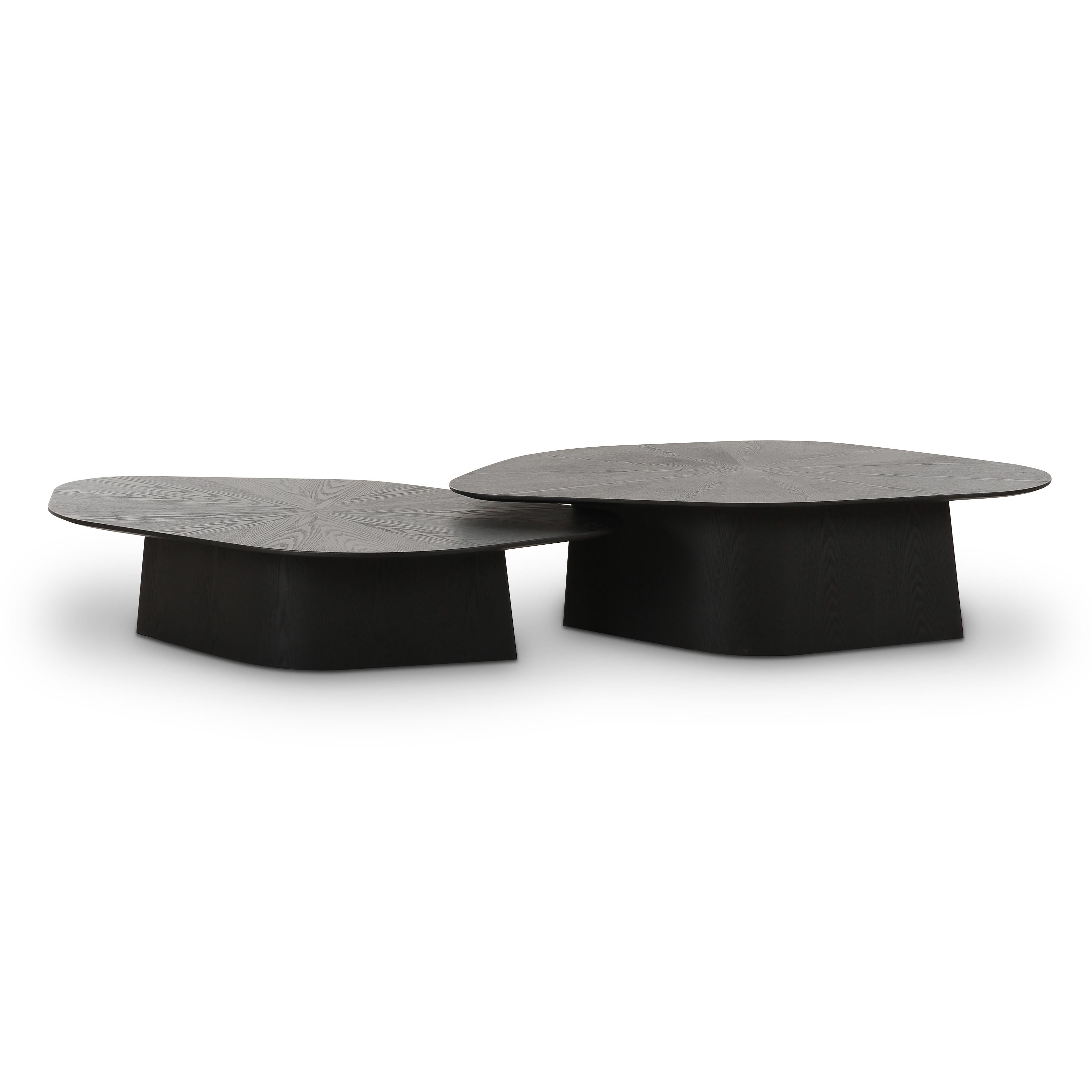 Roche 2-Piece Ash Nesting Coffee Table Set | TOV Furniture