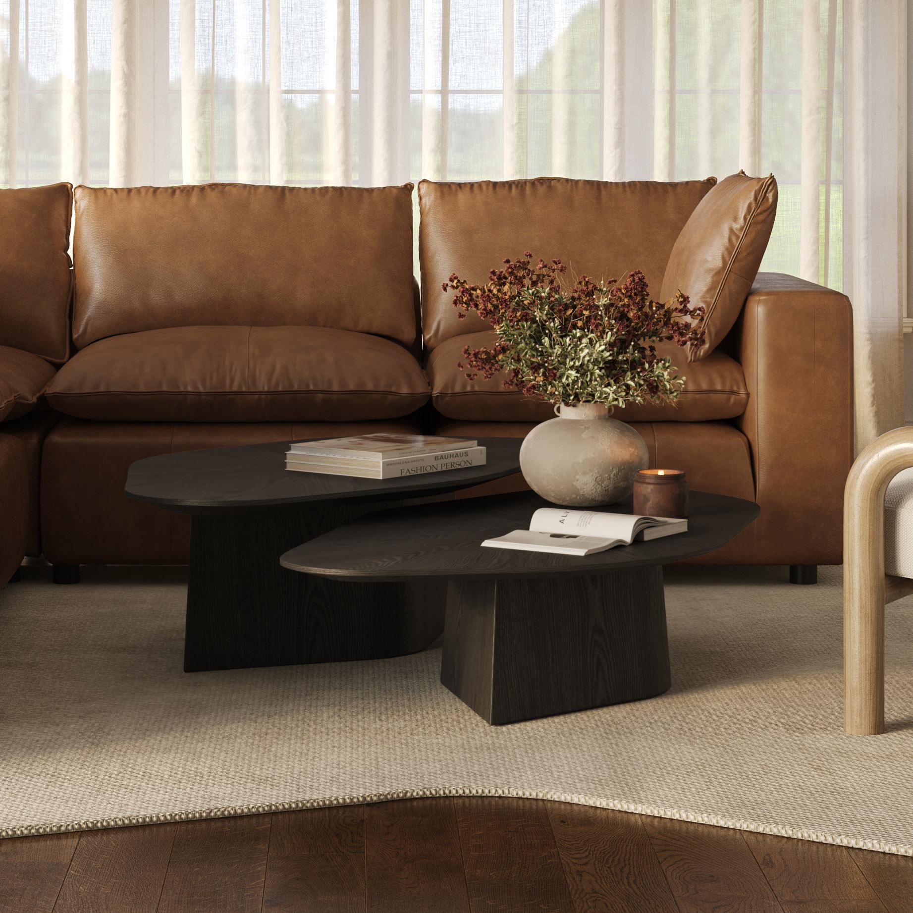 Roche 2-Piece Ash Nesting Coffee Table Set | TOV Furniture