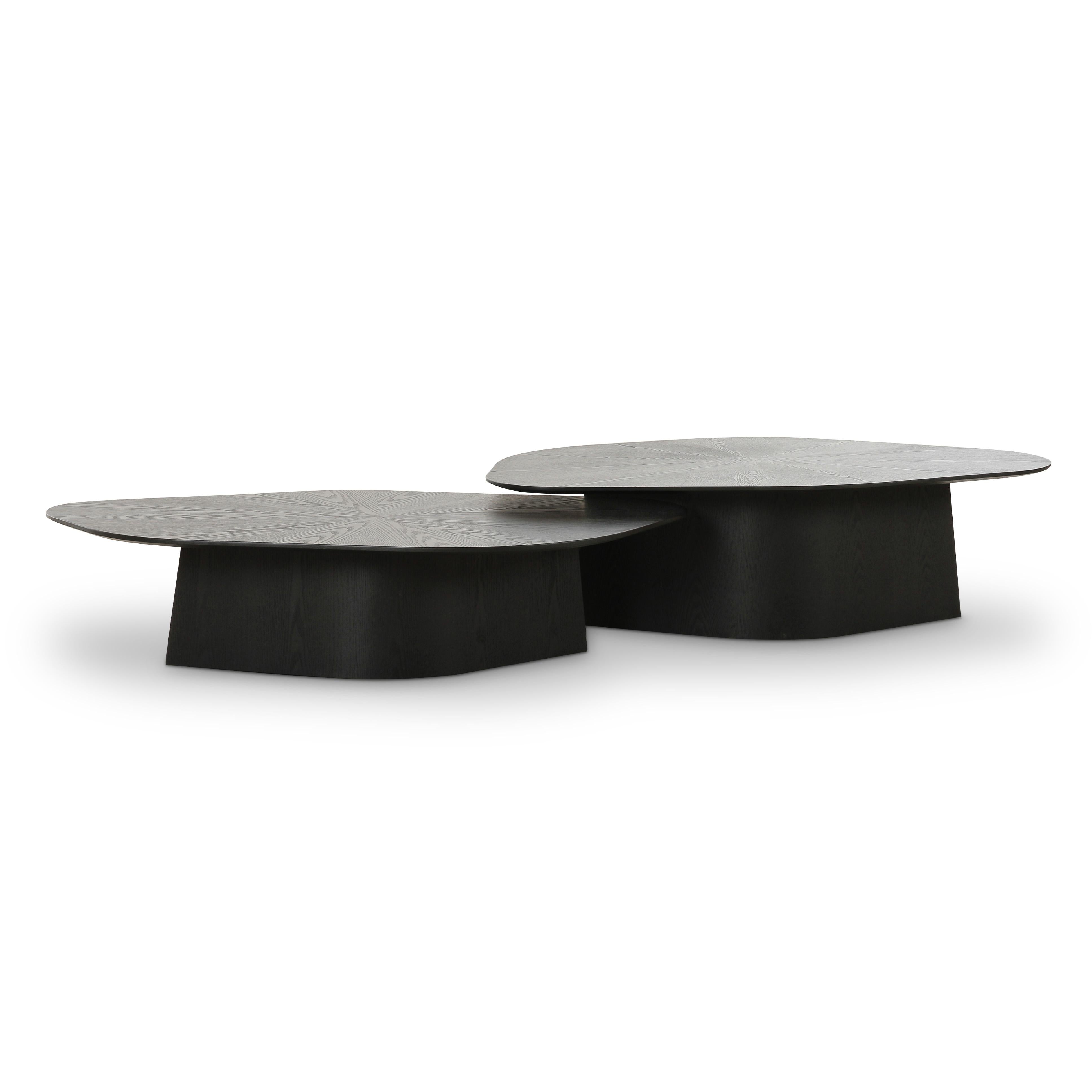 Roche 2-Piece Ash Nesting Coffee Table Set | TOV Furniture