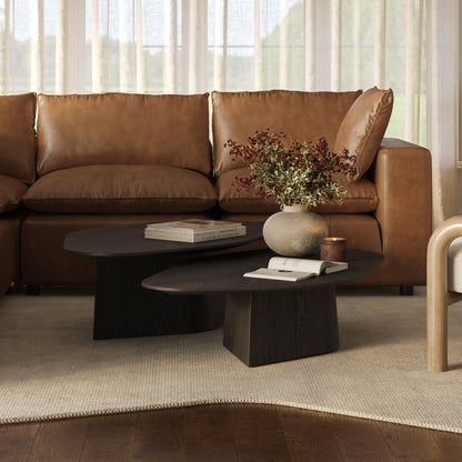 Roche 48" Ash Geometric Coffee Table - Black - Image 1