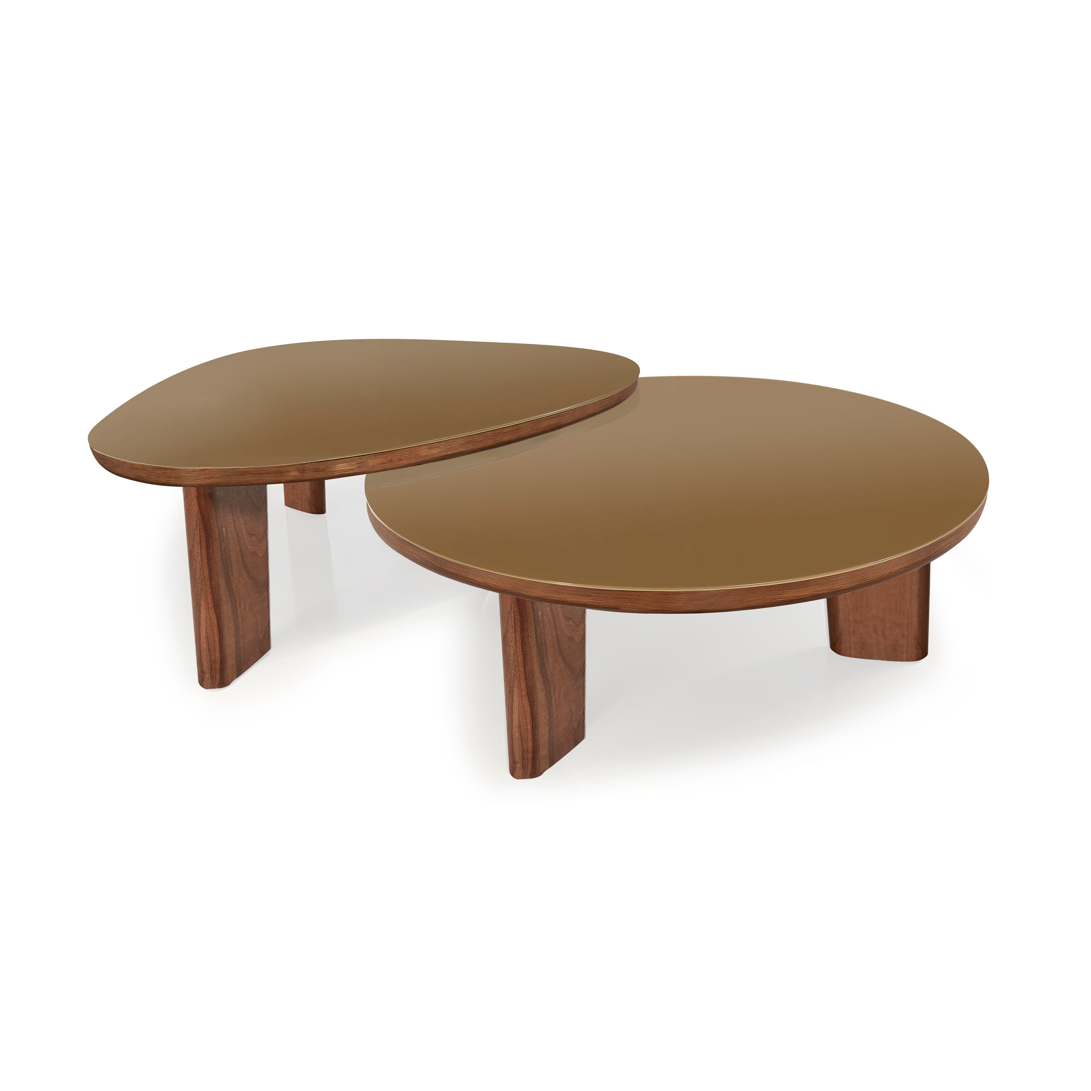 Oani Coffee Table - Thumbnail 3