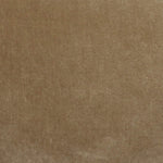 Fabric Sample Moss-025