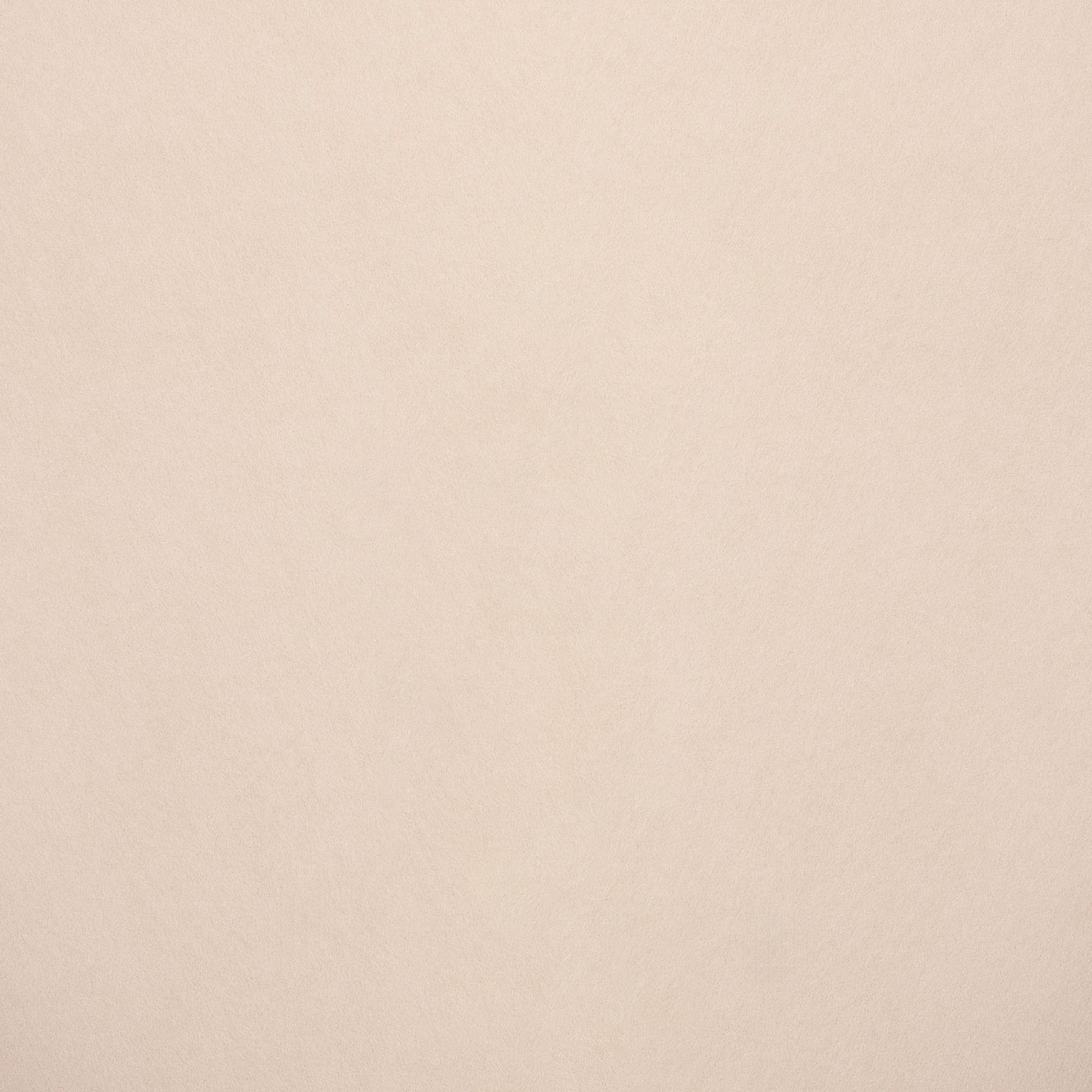 Fabric Sample - Image 1