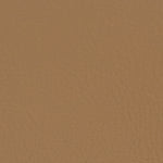Fabric Sample