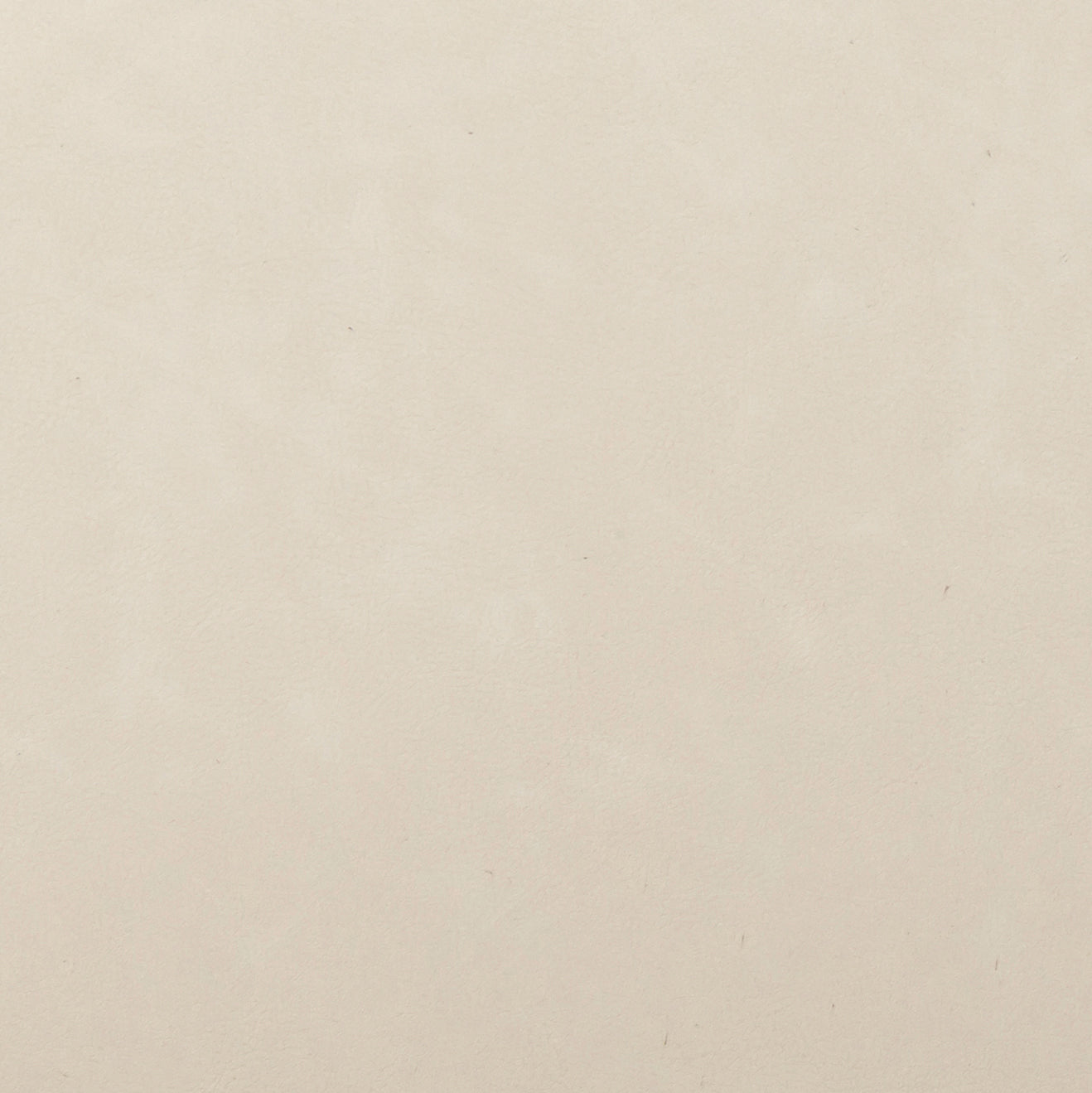 Carnation Counter Stool - Off-White - Image 8