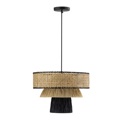 Rylie Natural & Black Raffia Pendant Lamp - Default Title - Image 2